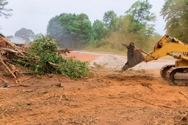 Ground Clearing in Wexford
