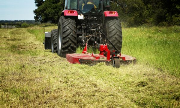 Brush Clearing Service in Wexford