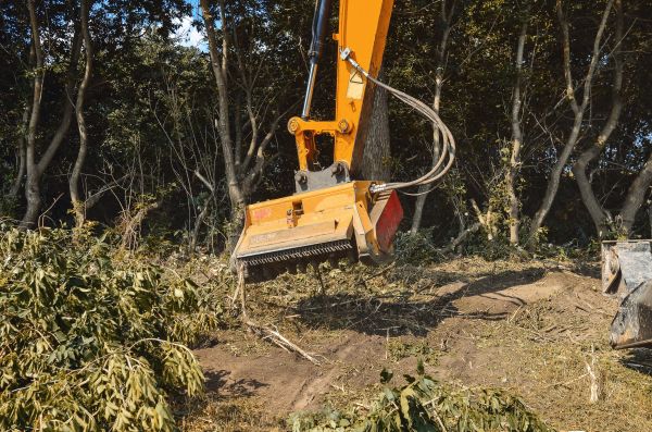 Brush Removal Service in Wexford