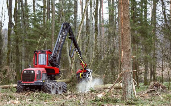 Forest Clearance Service in Wexford