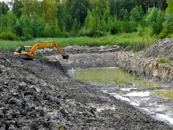 Lake Lot Clearing in Wexford