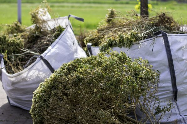 Bushes Clearing in Wexford