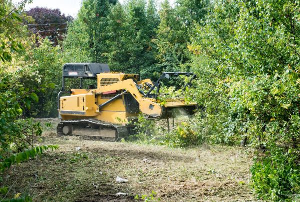 Pathway Clearing in Wexford