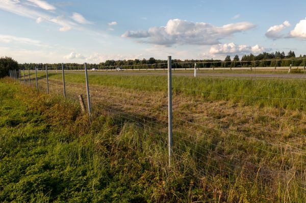 Property Line Clearing in Wexford
