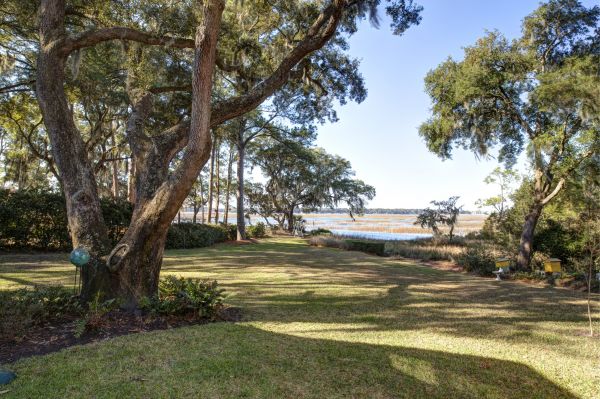 Lakefront Property Clearing in Wexford
