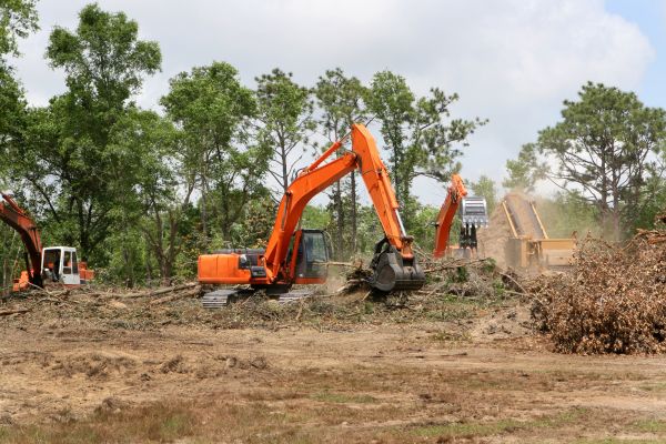 Commercial Lot Clearing in Wexford